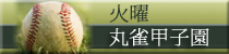麻雀イベント 丸雀甲子園