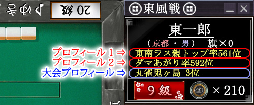 プロフィールについて、説明図