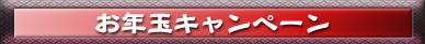 ��ǯ�̥����ڡ���