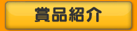 ���ʾҲ�