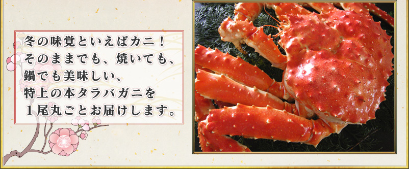 冬の味覚といえばカニ!
そのままでも、焼いても、
鍋でも美味しい、
特上の本タラバガニを
1尾丸ごとお届けします。