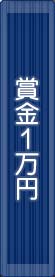 �޶⣱����