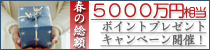�դ�5000���ݥ���ȥץ쥼��ȥ����ڡ���