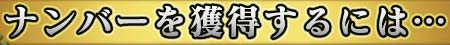 �ʥ�С����������ˤϡ�