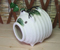 Maru-Jan���ꥸ�ʥ� NET CASH
