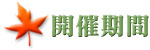 ���Ŵ���