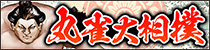 载ݿ