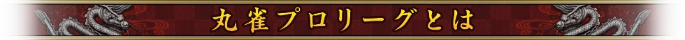 丸雀プロリーグとは