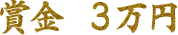 ޶⣳