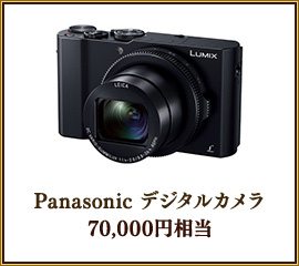 Panasonic �ǥ����륫���
����,������������