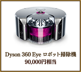 Dyson 360 Eye ܥåݽ
,