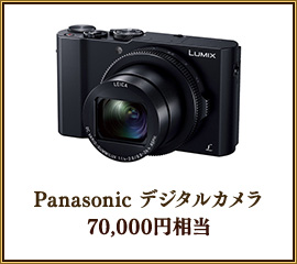Panasonic ǥ륫
,